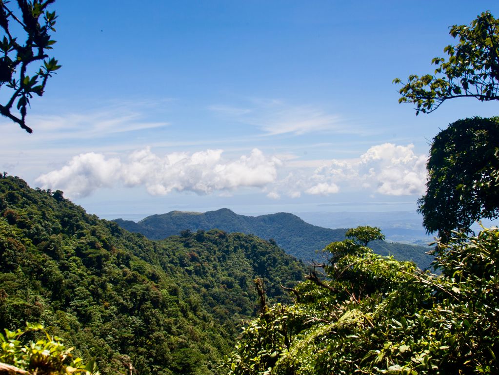 Mooie natuur van Monteverde